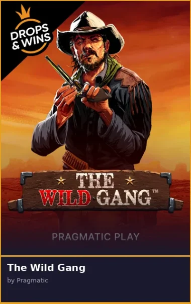 The Wild Gang