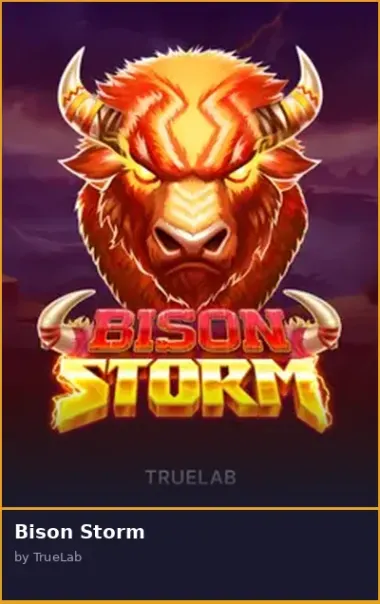 Bison Storm